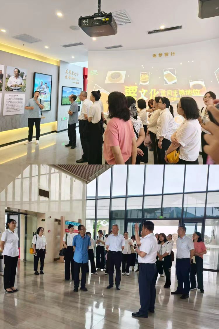 图片9.jpg